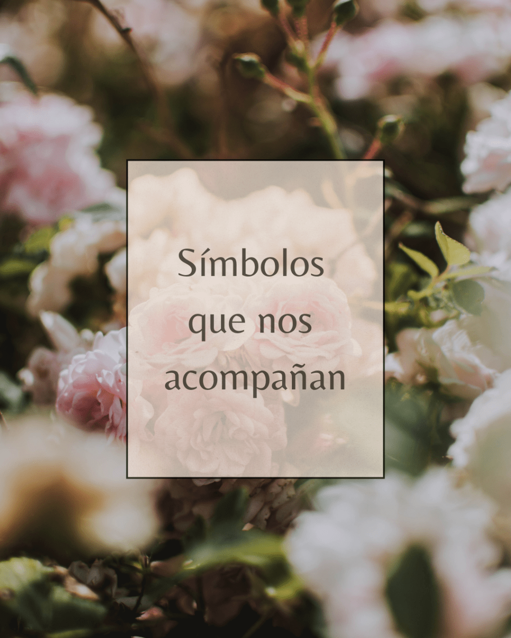🌙 Símbolos que nos&nbsp;acompañan